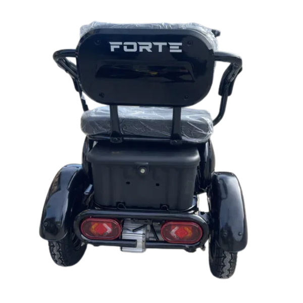 Электротрицикл FORTE FAMILY-WN1060 60В 20Ач 1000Вт черный WN1060cher фото