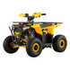 Квадроцикл FORTE AFU110, 110 см&sup3;, 7 л.с., дисковый тормоз, шины 15&rdquo;, воздушное охлаждение, Желтый 152877 фото
