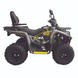 Квадроцикл бензиновий Mikilon HARDY U68 200 MAX 200 см&sup3; сірий 145496 фото 2