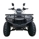 Квадроцикл бензиновий Forte ATV-200BS-K 180 см&sup3; сірий 148404 фото 4