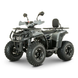 Квадроцикл бензиновий Forte AFP125 PRO  125 см&sup3; сірий 146208 фото