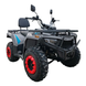 Квадроцикл бензиновий Forte ATV-200BS-K 180 см&sup3; сірий 148404 фото 1