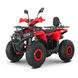 Квадроцикл FORTE AFN125 PRO червоний, 125 см&sup3;, 8 к.с., 45 км/год, дискові гальма, шини 19&rdquo;/18&rdquo;, повітряне охолодження 146147 фото