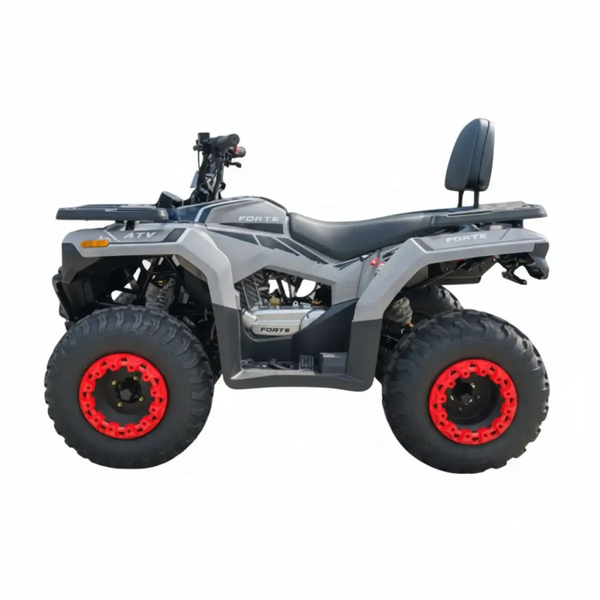 Квадроцикл бензиновий Forte ATV-200BS PRO 200 см&sup3; сірий 153663 фото