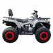 Квадроцикл бензиновий Forte ATV-200BS PRO 200 см&sup3; сірий 153663 фото 1