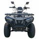 Квадроцикл бензиновий Forte ATV-200BS PRO 200 см&sup3; сірий 153663 фото 3