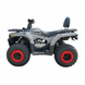 Квадроцикл бензиновий Forte ATV-200BS PRO 200 см&sup3; сірий 153663 фото 2