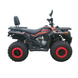 Квадроцикл бензиновий Forte ATV-200BS PRO 200 см&sup3; чорний 153664 фото 1