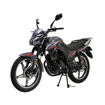 Мотоцикл Forte FT 200EN чорний 200 см&sup3;, 14 к.с., 100 км/год, дискові гальма, електростарт 136380 фото