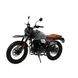 Мотоцикл Forte FT250-F6 223 см&sup3; рідинне охолодження чорно-сірий 136395 фото 9