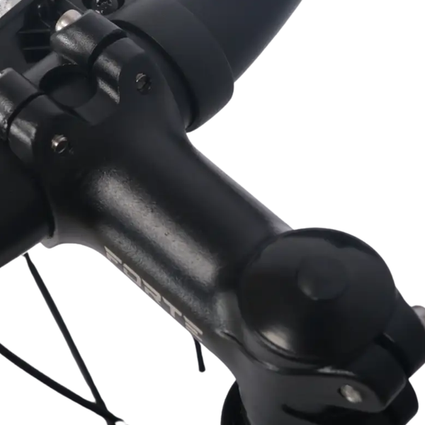 Велосипед женский Forte Aurora Women Bicycle 26" 21 скорость рама 15" голубой 117813 фото