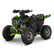 Квадроцикл бензиновий Forte AFF125 PRO 125 см&sup3; зелений 145778 фото