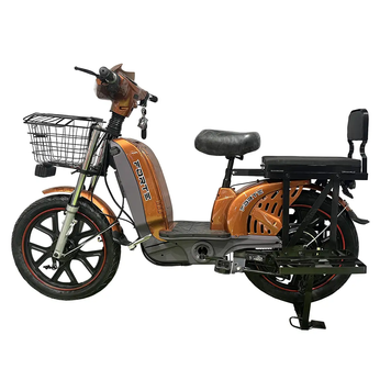 Електровелоскутер FORTE EM 219WS 800Вт, великі колеса 17&rdquo;, запас ходу 45 км, 40 км/год, 60В/15Аг, Коричневий 152298 фото