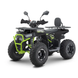 Квадроцикл бензиновый Forte AFN150 PRO 150 см&sup3; черный 145476 фото