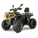 Квадроцикл бензиновый Forte AFC-200 PRO 177 см&sup3; оранжевый 141510 фото 1