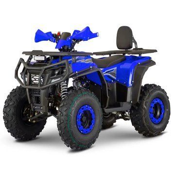 Квадроцикл акумуляторний FORTE FFP1500 Синій, 1500 Вт, 60В/20Аг, швидкість до 45 км/год, навантаження до 80 кг 145440 фото